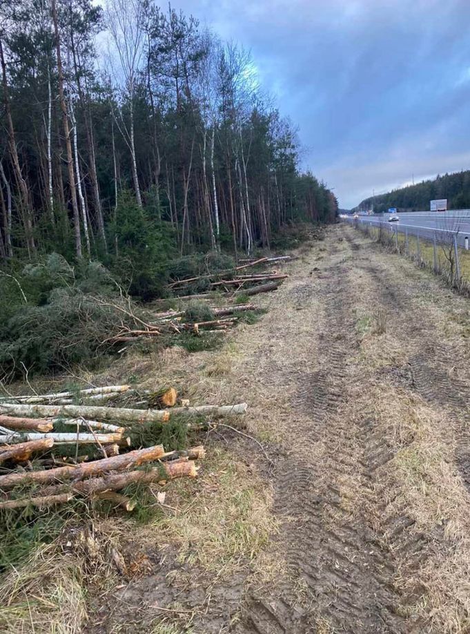 Referenzen - Schriebl Holzschlägerung und Erdbewegung in Lannach Holzschlägerung 