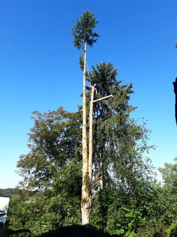 Referenzen - Schriebl Holzschlägerung und Erdbewegung in Lannach Holzschlägerung 